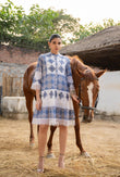 Blue Cotton Embroidered Mini Dress