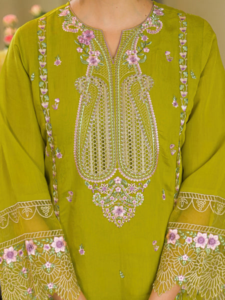 Pista Green Embroidered Mal Chandri Anarkali Suti Set with Cotton Printed Dupatta