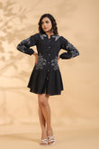 Stylish Mini Dress With Embroidery Work