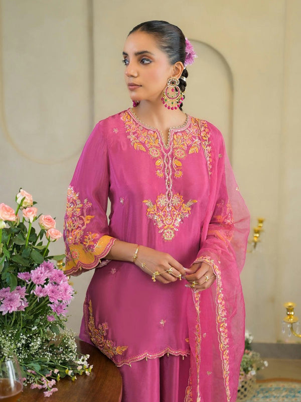 Rani Pink Chandery Embroidered Sharara Set