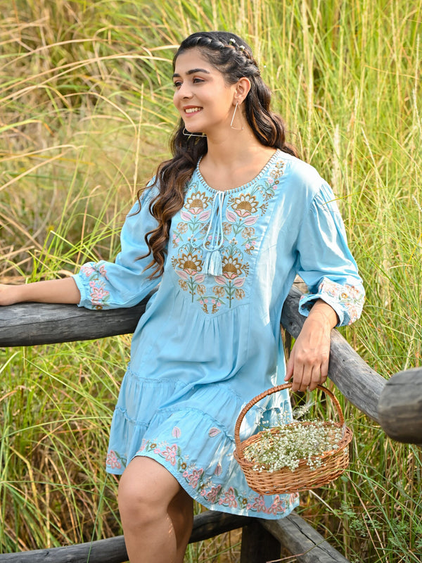 Sky Blue Embroidered Flared Mini Dress