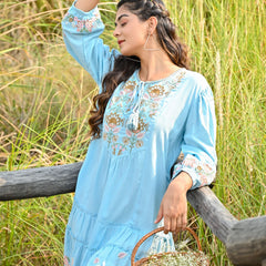 Sky Blue Embroidered Flared Mini Dress